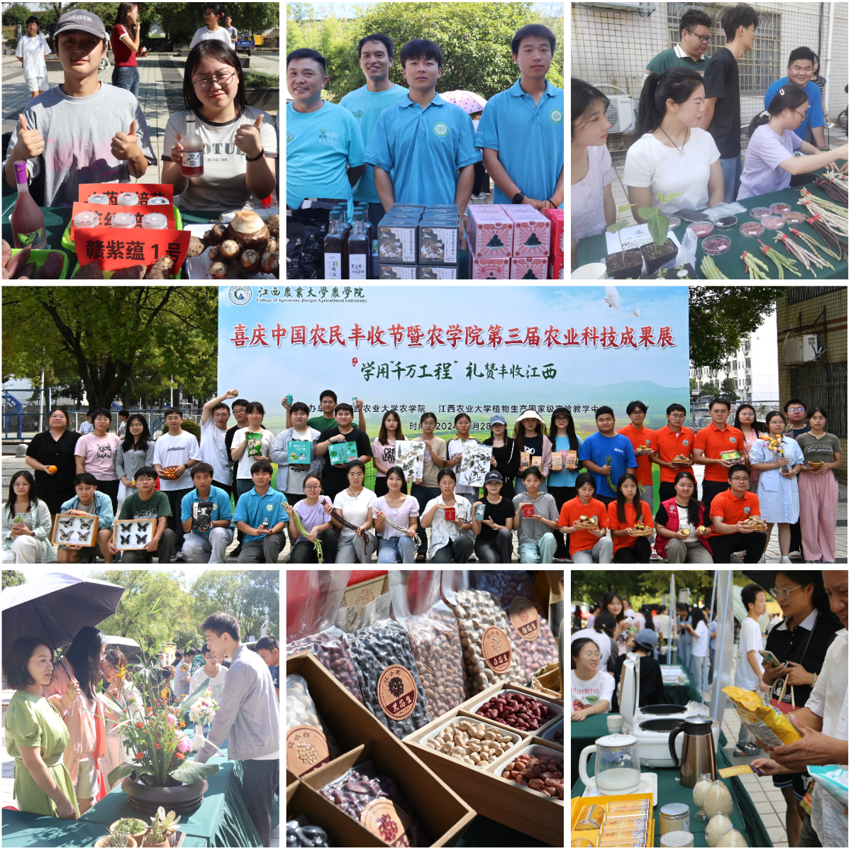 imageMerge2024-10-11 15:18:21 .png